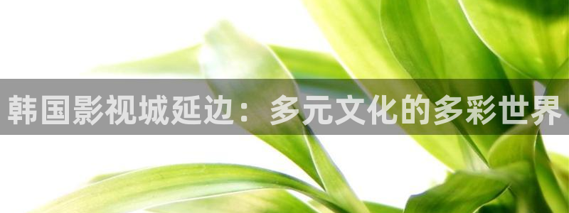 黑螞蟻電影院官網：韓國影視城延邊：多元文化的多彩世界