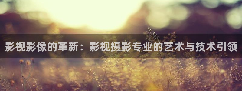 黑螞蟻圖片：影視影像的革新：影視攝影專業的藝術與技術引領