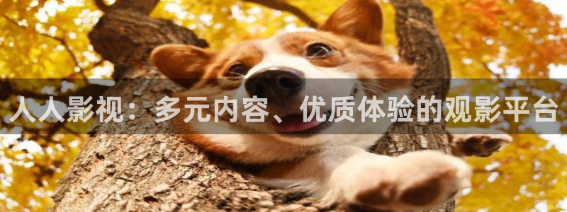 黑螞蟻影院影視：人人影視：多元內容、優質體驗的觀影平臺